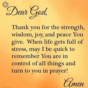 Meet your Posher, Junior